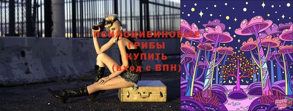СК Абаза