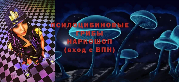 СК Абаза