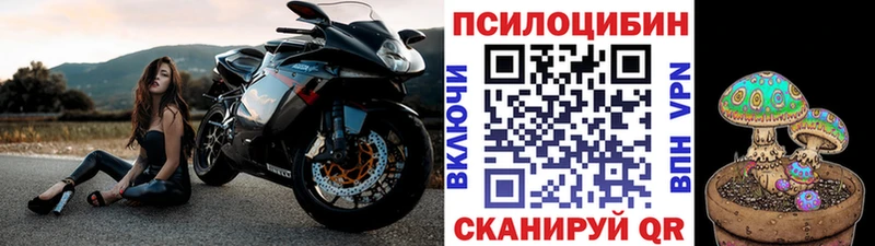 mega вход  Октябрьский  Псилоцибиновые грибы MAGIC MUSHROOMS 