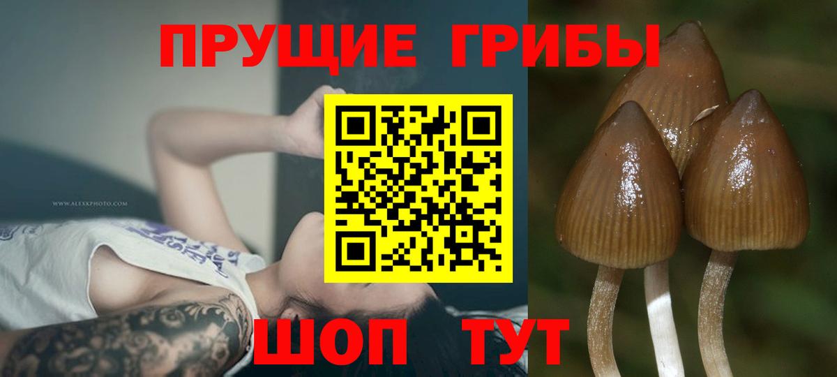 магазин продажи наркотиков  Псилоцибиновые грибы мицелий  Вход с VPN  Октябрьский 