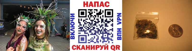 Бошки Шишки SATIVA & INDICA  что такое наркотик  Октябрьский 